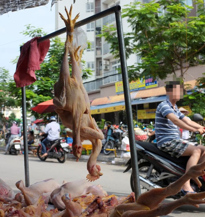 Bối rối với thực phẩm nhuộm màu