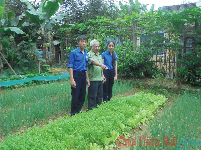 Học sinh nông thôn sáng chế bẫy diệt sâu bọ