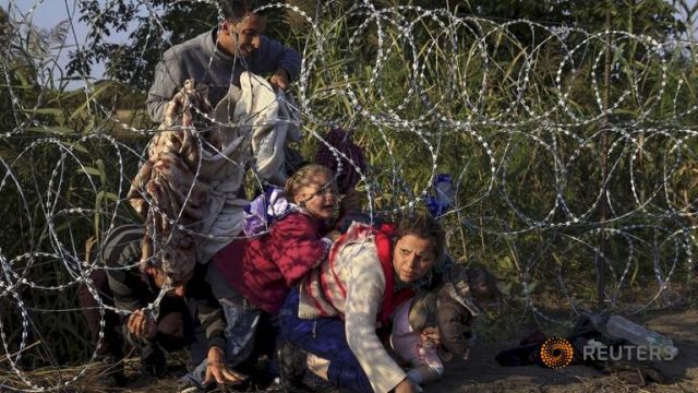 Reuters và New York Times xuất sắc đoạt giải thưởng danh giá Pulitzer