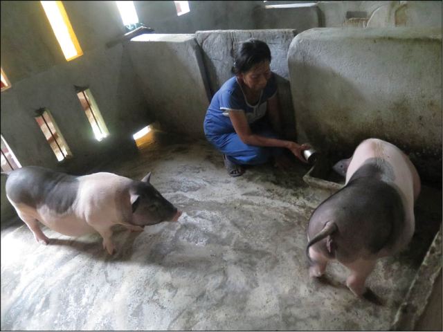 Tìm lại niềm vui