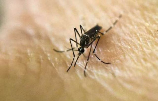 Biến đổi khí hậu làm gia tăng sự lây lan của Zika