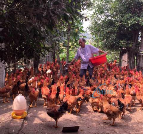 Nghị lực của một thương binh lao động giỏi