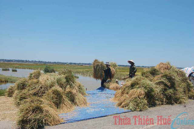 Hương Phong Chuyển biến từ chất lượng của các chi bộ đảng