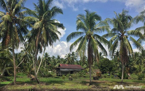 Máy bay chở nhiều quan chức Malaysia bị mất tích