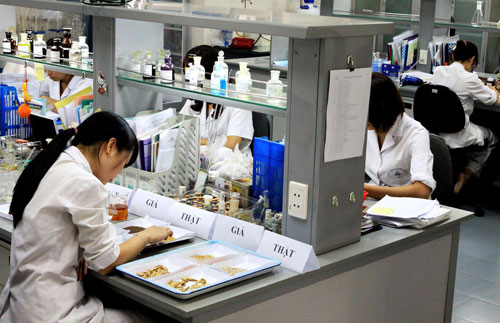 Lãng phí “kho vàng” dược liệu Việt