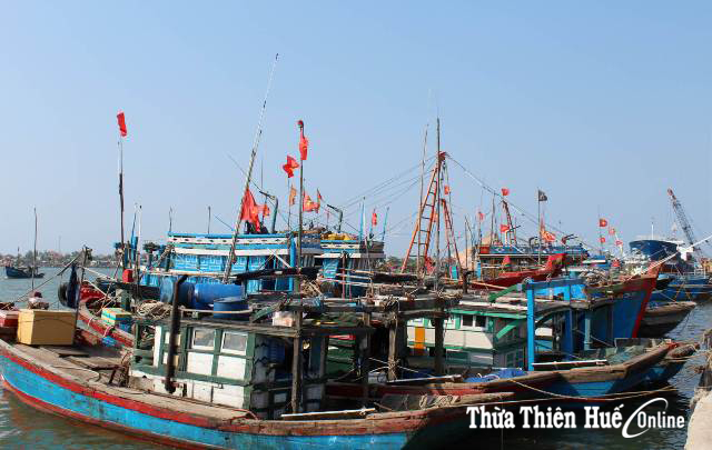 Phòng chống cháy, nổ trên tàu cá Cháy là trắng tay
