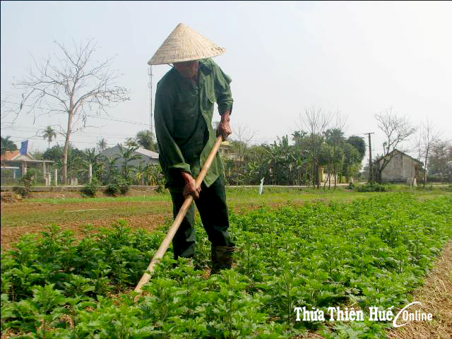 Gắn công tác xây dựng Đảng với phát triển kinh tế - xã hội