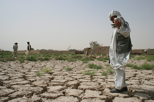 FAO Hạn hán và xung đột làm trầm trọng thêm tình hình lương thực toàn cầu