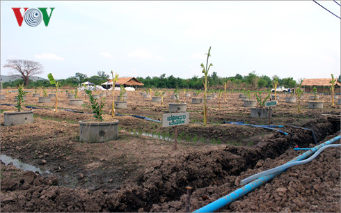 Hạn hán khốc liệt tại Thái Lan Chính quyền và nông dân cùng xoay xở