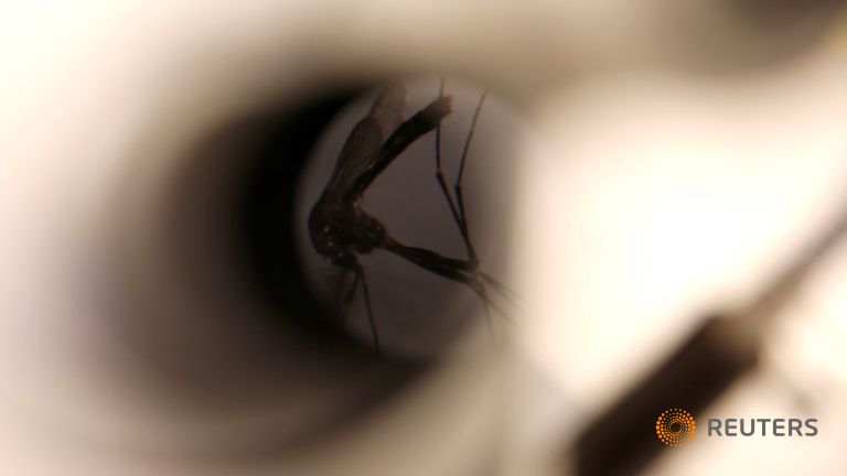 Dự đoán dịch bệnh dựa trên thay đổi khí hậu, dân số