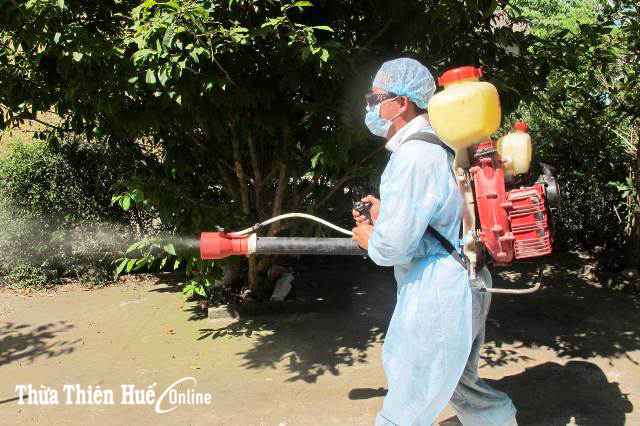 Chủ động phòng dịch sốt xuất huyết