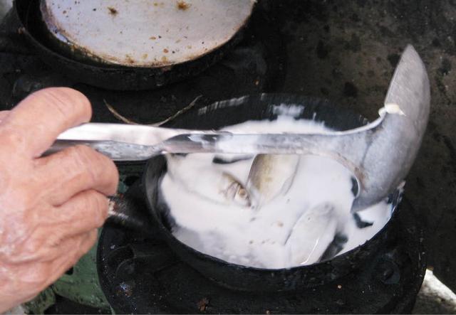 Thơm ngon vị cá kình