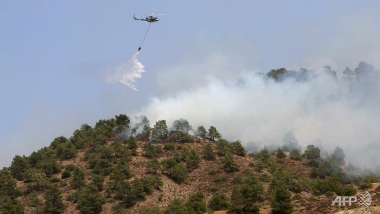 Anh, Hy Lạp, Israel điều máy bay giúp Síp ứng phó cháy rừng