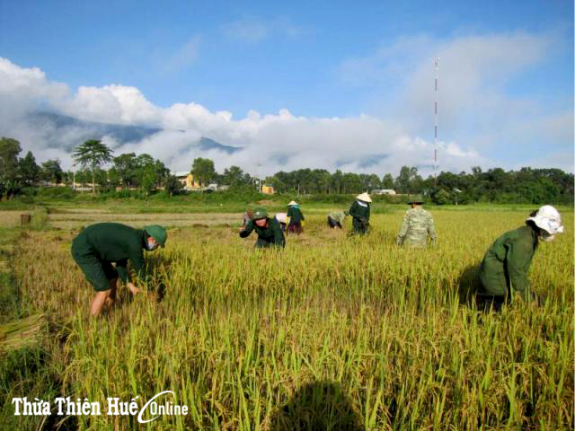 Nghĩa tình quân dân