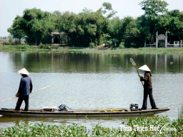 Đánh bắt thủy sản bằng xung điện Dai dẳng