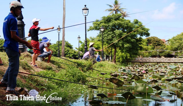 “Cần thủ” hồ Tịnh Tâm