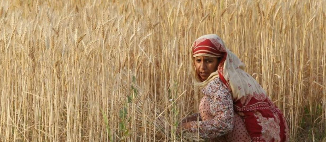 Tiêu chuẩn toàn cầu mới về đất đai nhằm tăng cường đầu tư