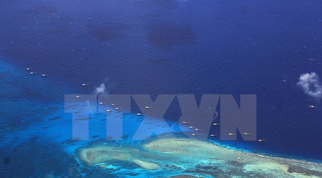 Hệ sinh thái biển Đông Một góc khác của phán quyết PCA