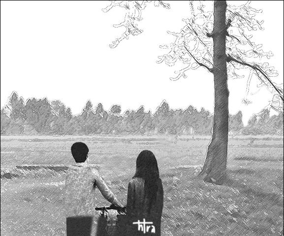 Không là giấc mơ