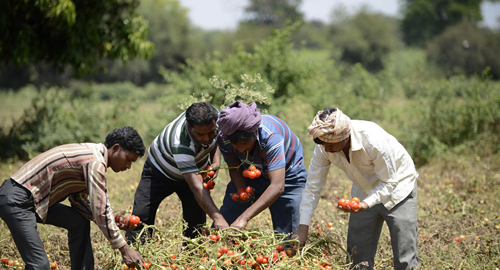 Tổng thống Obama ký đạo luật thúc đẩy an ninh lương thực toàn cầu