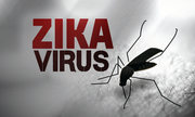 Chủng virus Zika ở Việt Nam ít khả năng gây dị tật đầu nhỏ