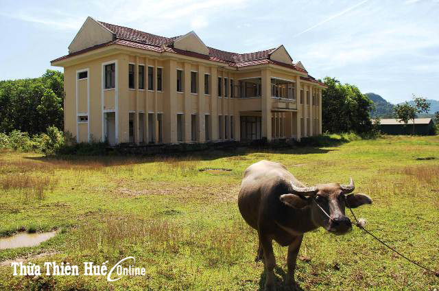 Dang dở dự án nhà máy xi măng hơn 4 nghìn tỷ đồng