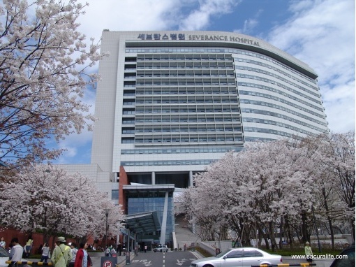 Kiểm tra sức khỏe thường xuyên không hữu ích trong chẩn đoán ung thư dạ dày