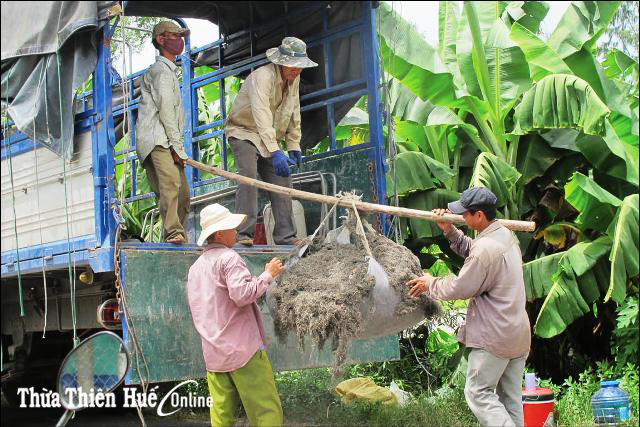 Kiếm “lộc” đầm phá