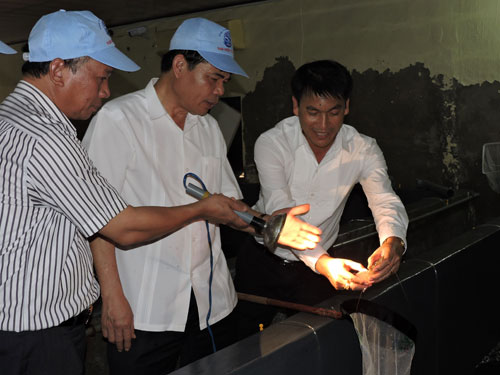 Áp thuế Artemia 5  Cảnh báo ảnh hưởng sự phát triển ngành tôm