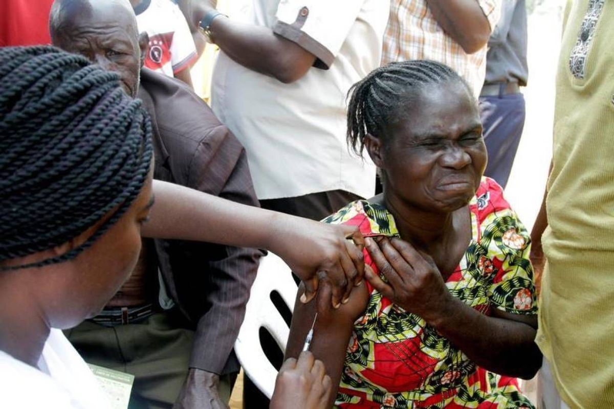 Sốt vàng da có nguy cơ lan ra toàn cầu