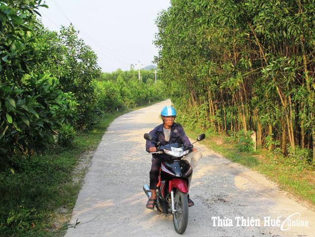 Rẫy mụ Khôi, “cái gai” một thời
