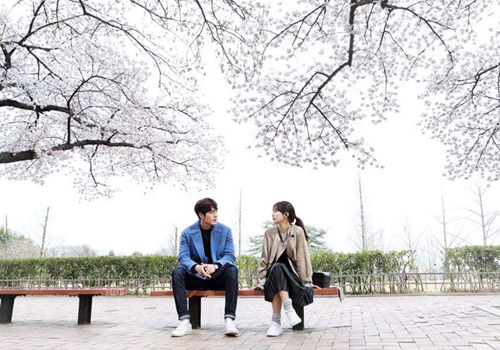 Văn hóa Việt đang mất vị thế ở sân nhà