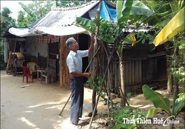 Không thể xây dựng nhà ở trên đất nông nghiệp đã được quy hoạch