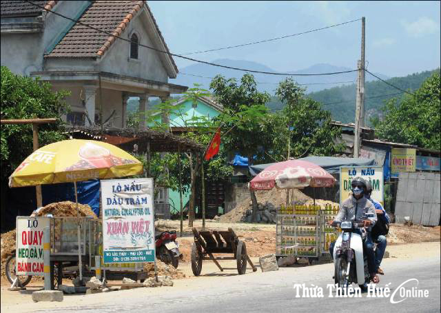 Bảo vệ thương hiệu dầu tràm Huế