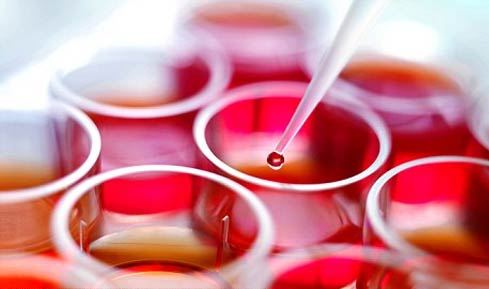 Ứng dụng tế bào gốc tủy xương trong điều trị liền xương