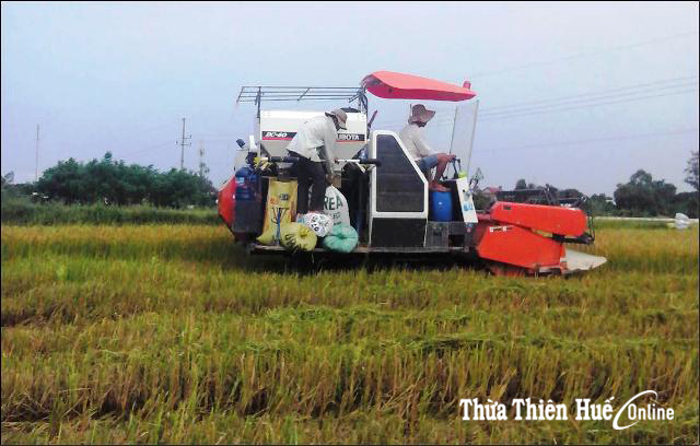 Những cán bộ Đoàn “miệng nói, tay làm”