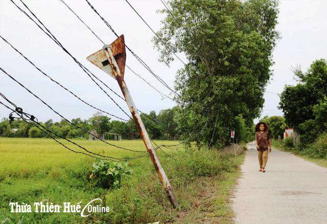 Ẩn họa từ những dây điện ở Quảng Thái