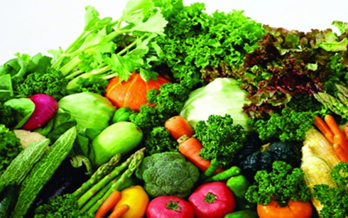 Chuyên gia hàng đầu tư vấn bí quyết phòng ngừa bệnh ung thư