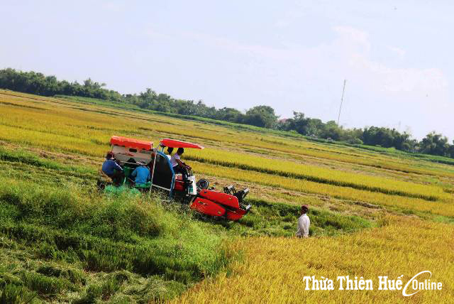 Quảng An tìm giải pháp phát triển Đảng