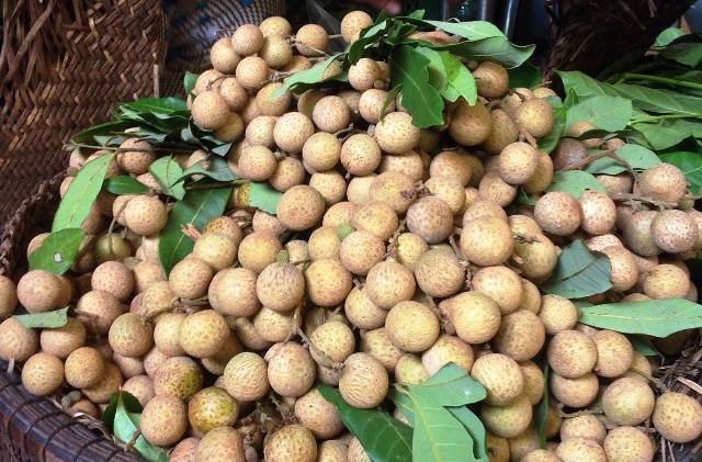 Kí ức nhãn lồng