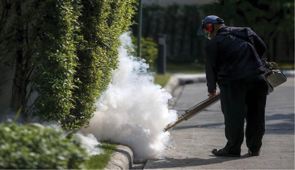 Thái Lan hạ thấp nguy cơ Zika, lo ngại sẽ tác động đến ngành du lịch