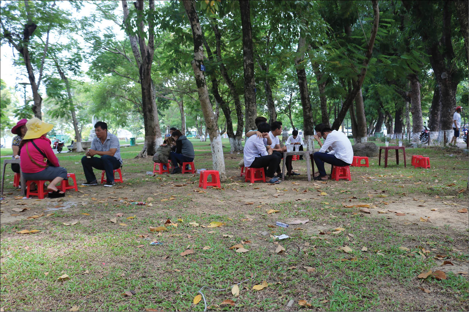 Trật tự ở các công viên Cần giải pháp căn cơ