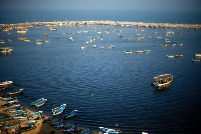 Chống đánh bắt cá trái phép từ  nhà