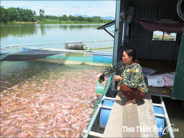Tiếp sức cho hội viên