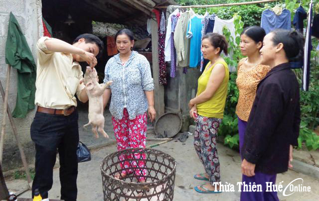 Khi “phụ nữ yêu thích chăn nuôi”