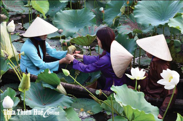 Phục hồi trà, rượu cung đình