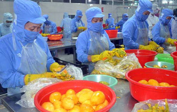 Xuất khẩu rau quả dự kiến đạt 2,5 tỷ USD