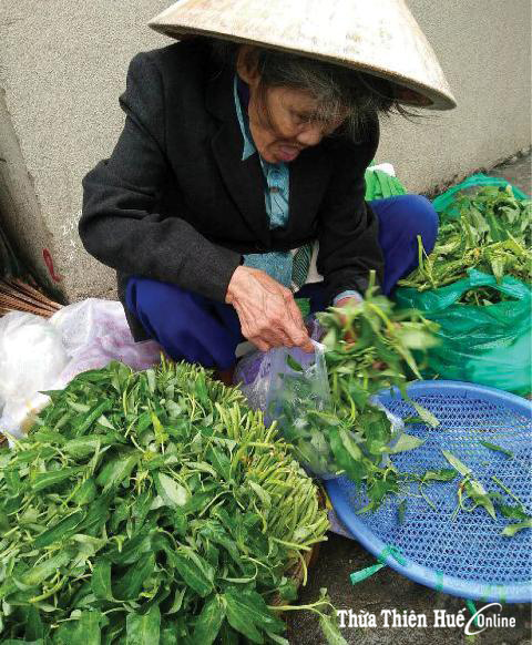 Mệ già 79 tuổi không nơi nương tựa