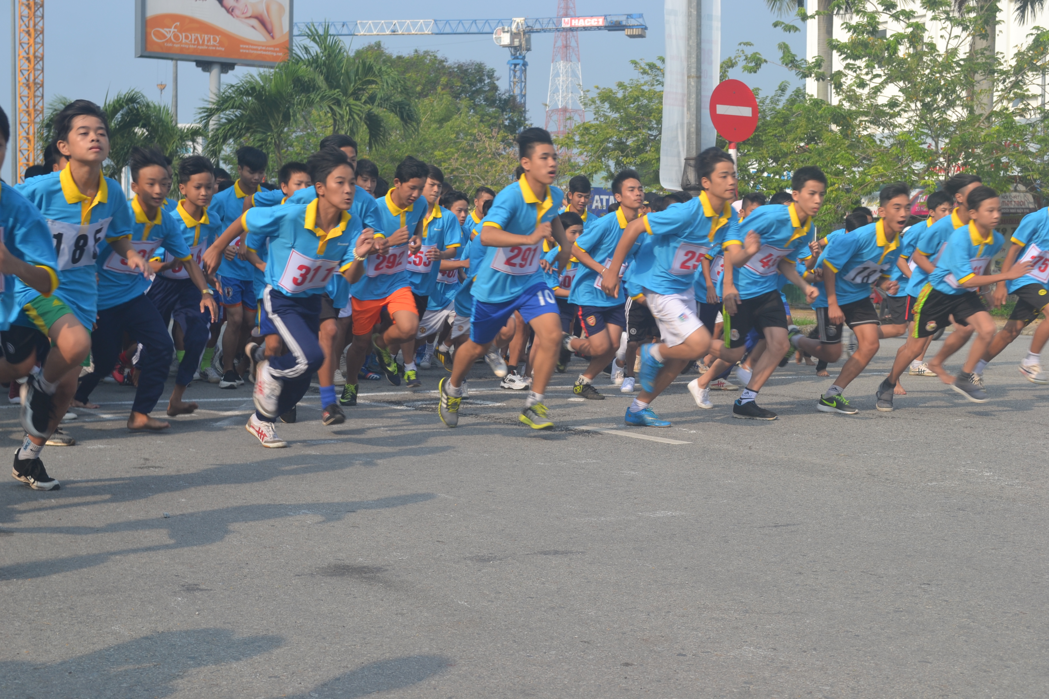 Hơn 500 VĐV tham gia giải việt dã Sacombank 2016