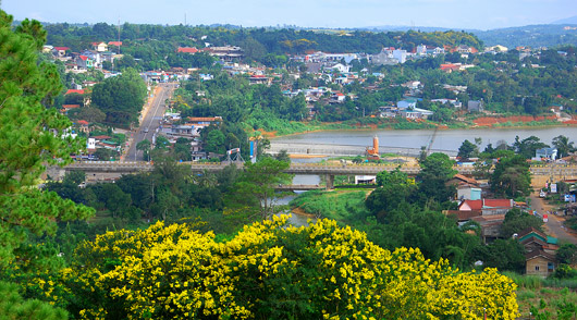 Phố thị hoa vàng
